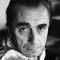 Michelangelo Antonioni Photo