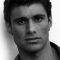 Steven Bauer Photo
