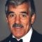 Dennis Farina Photo