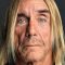 Iggy Pop Photo