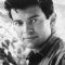 Mark Damon Photo