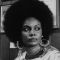 Tamara Dobson Photo