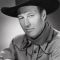 Bill Elliott Photo