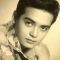 Dindo Fernando Photo