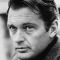 Arthur Hansel Photo