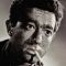 Harry Landis Photo