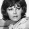 Virna Lisi Photo