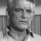 Denver Pyle Photo