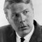 Albert Salmi Photo