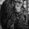 Joe Martin Photo