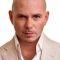 Pitbull Photo