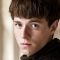 Alfie Stewart Photo