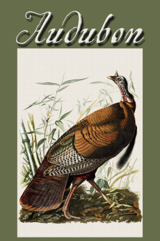 Audubon (2017) download