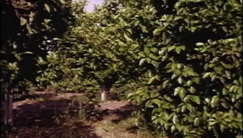 Ay Vakti (1994) download