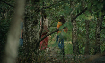 Blue Heron (2025) download