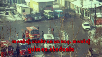 Çiçek Abbas (1982) download