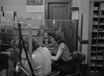 Crime Wave (1953) download
