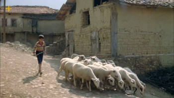 Davaci (1987) download
