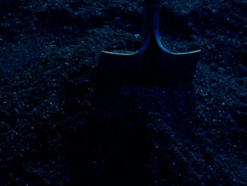 Dead Lover (2025) download