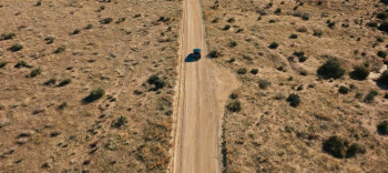 Decibel (2024) download