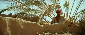 Desert Warrior (2025) download