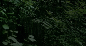 Dreaming Murakami (2017) download