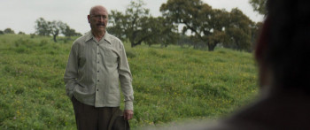 Golpes (2025) download