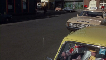 Goodbye Pork Pie (1980) download