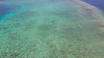 Great Barrier Reef 4K (2018) download