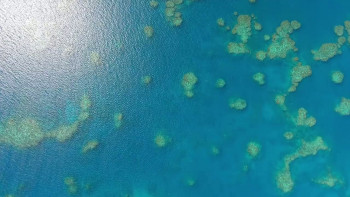 Great Barrier Reef 4K (2018) download