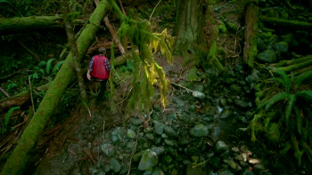 Hadwin's Judgement (2015) download