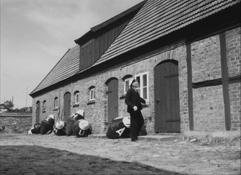 Holubice (1960) download