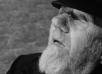 Holubice (1960) download