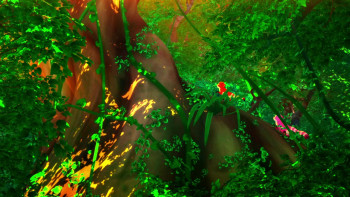 Jungle Shuffle (2014) download
