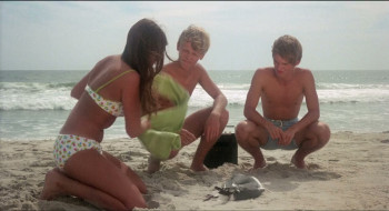 Last Summer (1969) download