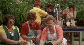 Looking for Alibrandi (2000) download