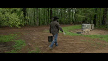 Maternal Instinct (2026) download