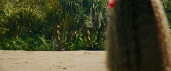Moana (2026) download