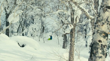 Naturally (2013) download