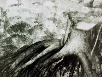 Põld (1978) download