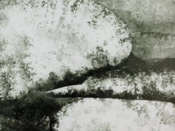 Põld (1978) download