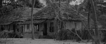 Pongala (2025) download