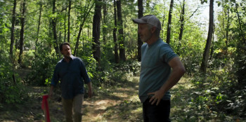 The Beehive (2023) download
