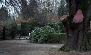 The Corpse (1971) download