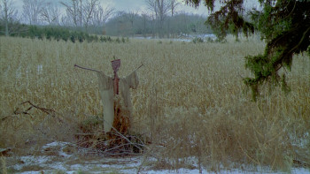 The Marsh (2006) download