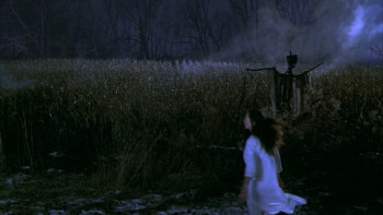 The Marsh (2006) download