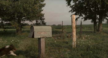 The Young Arsonists (2022) download