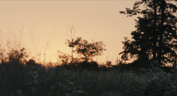 The Young Arsonists (2022) download